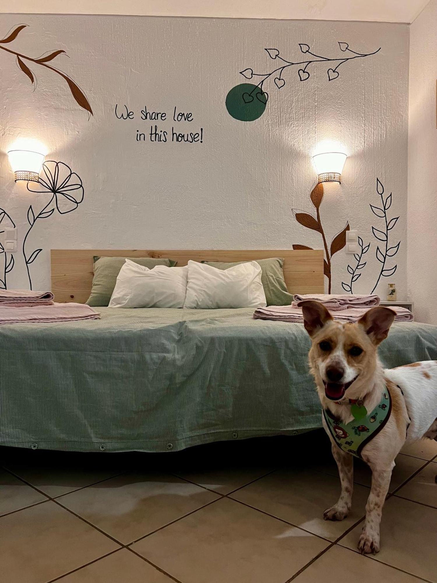 Studio Albufeira Jardim T0 Экстерьер фото